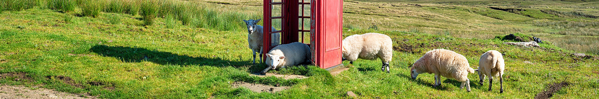 Red Phone Box on Dartmoor